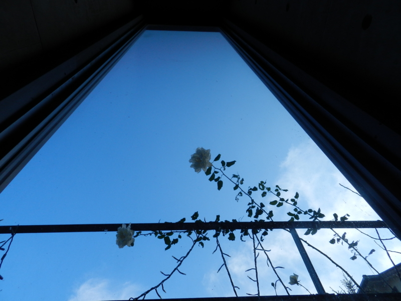 f:id:rotling:20111129111332j:image
