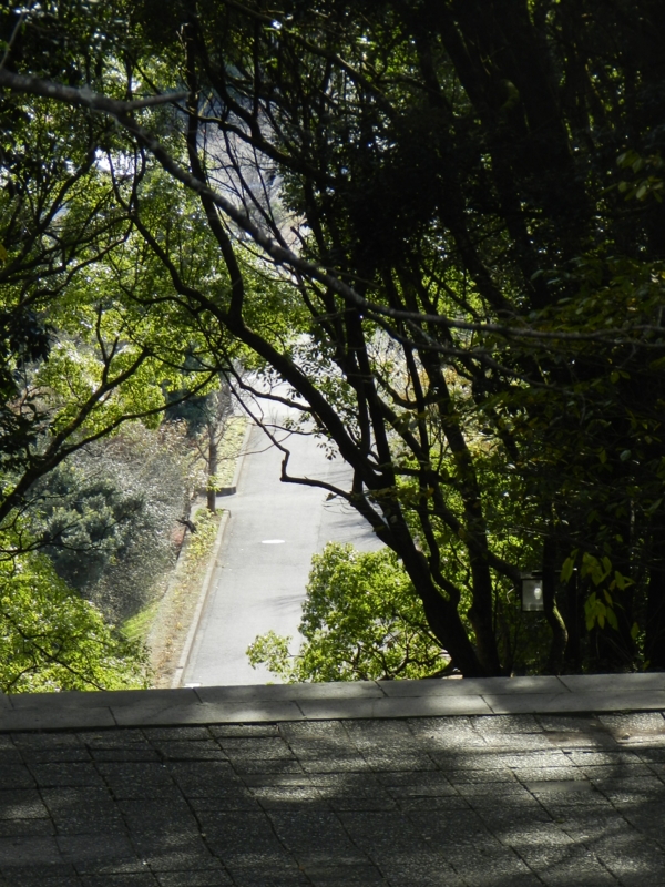 宮崎　平和台公園