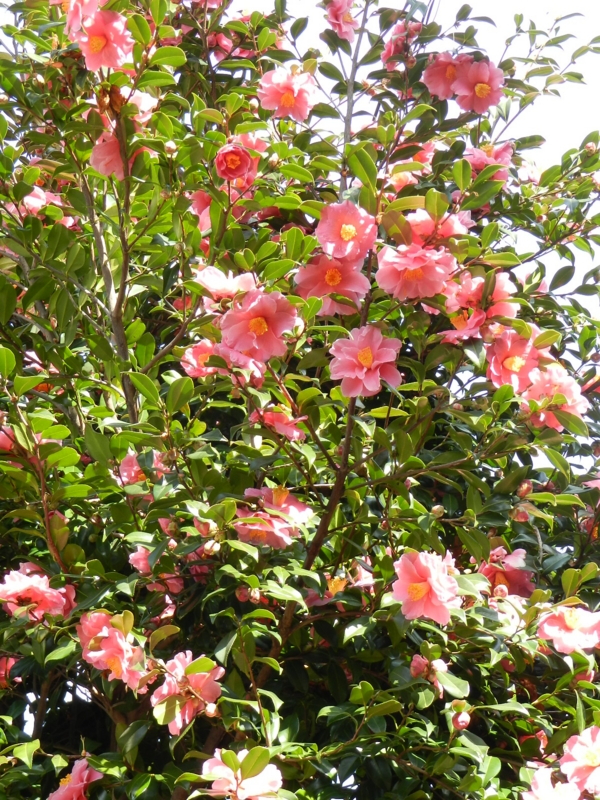 f:id:rotling:20120229122039j:image