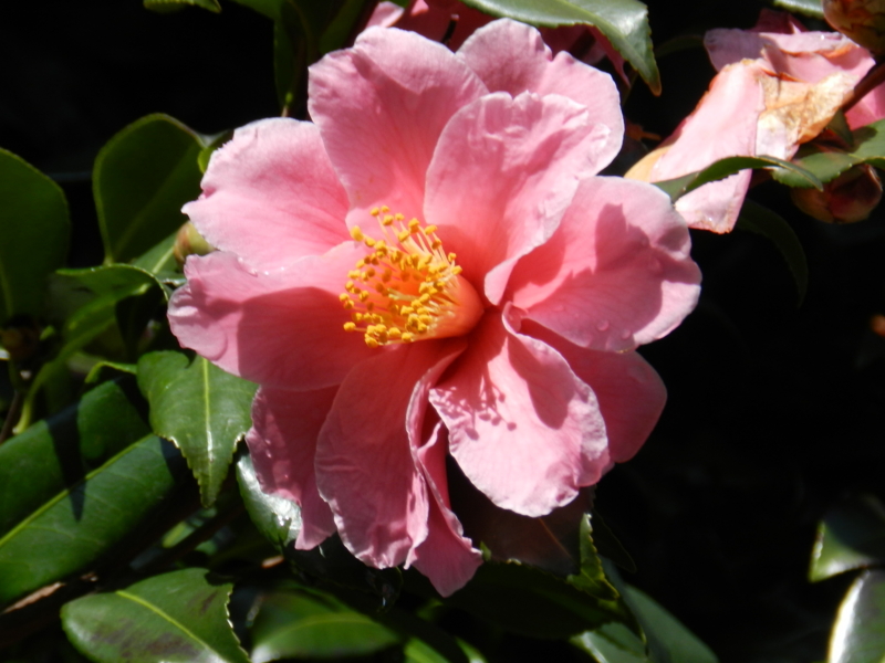 f:id:rotling:20120229122102j:image