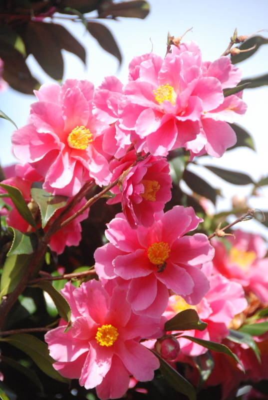 f:id:rotling:20120310150040j:image