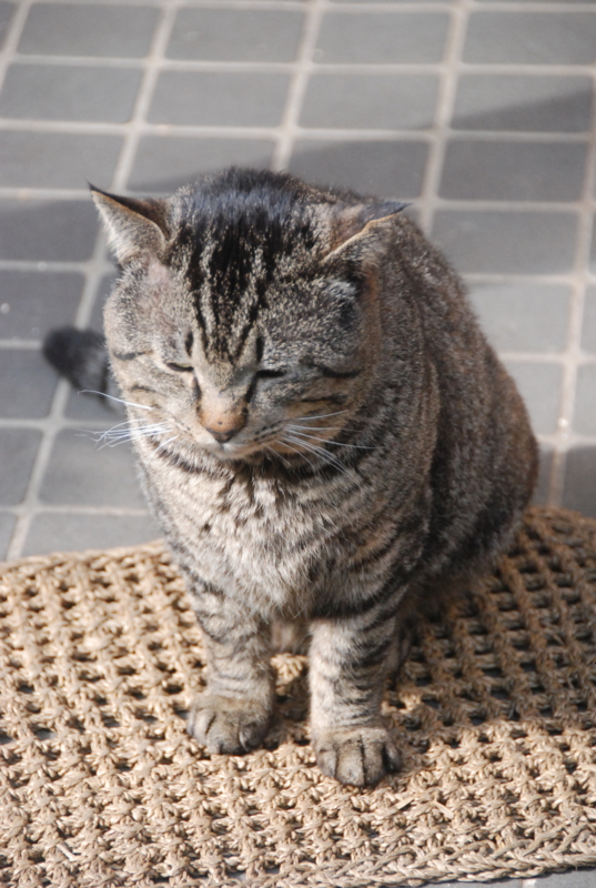 f:id:rotling:20120310150221j:image