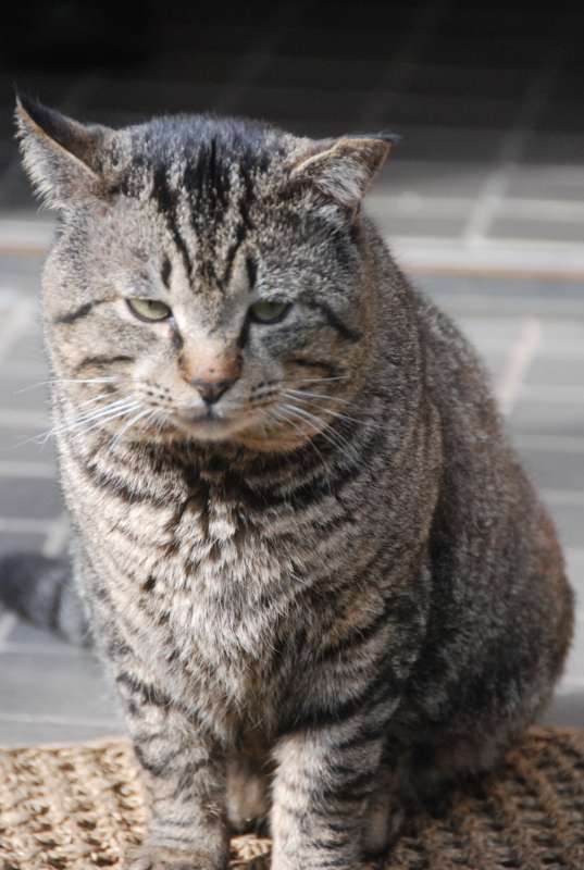 f:id:rotling:20120310150223j:image