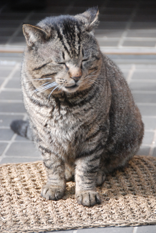 f:id:rotling:20120310150224j:image