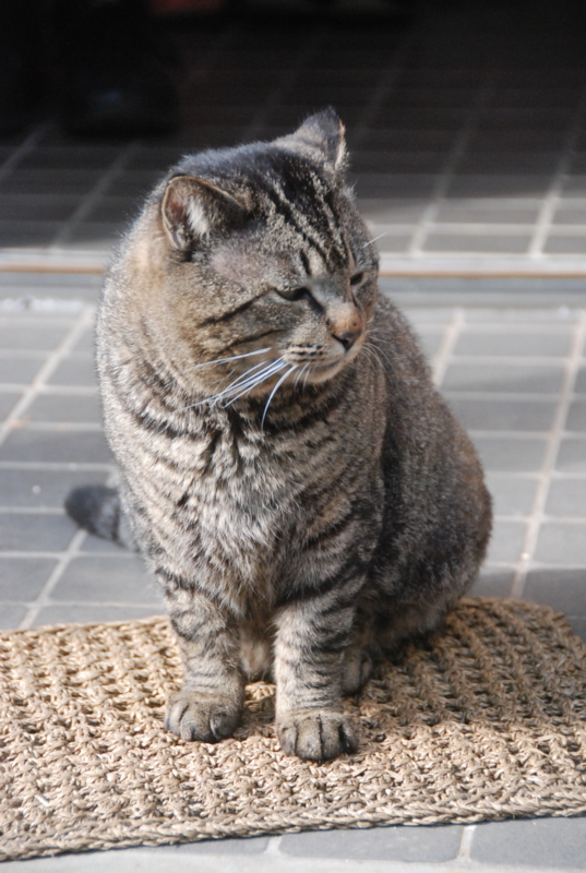 f:id:rotling:20120310150226j:image