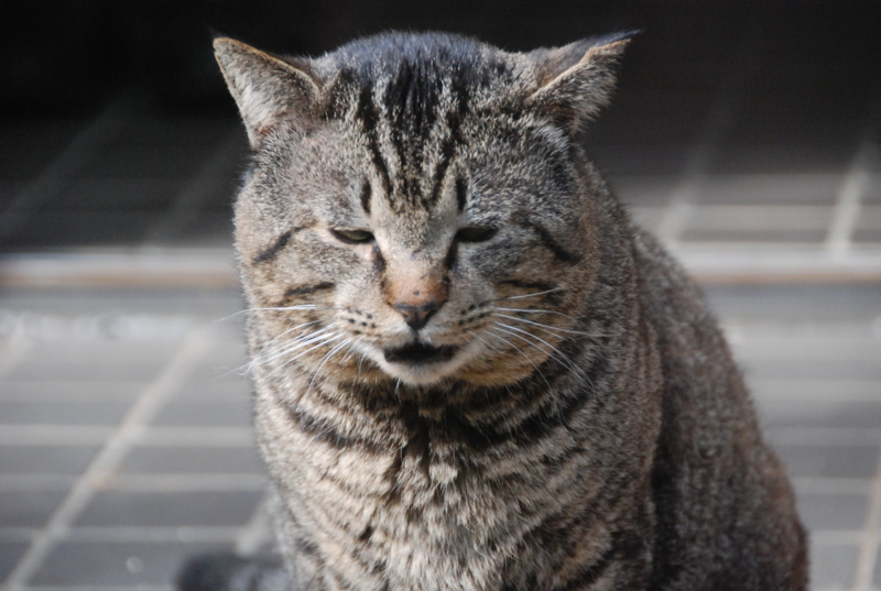 f:id:rotling:20120310150229j:image