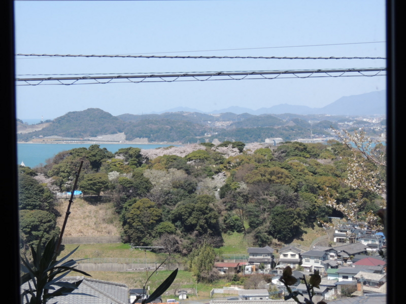 桜、関門海峡　金ノ弦灯台　手向山