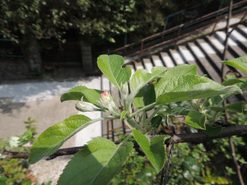 f:id:rotling:20120417123500j:image