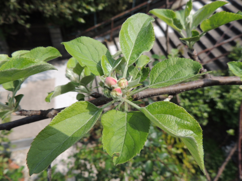 f:id:rotling:20120417123502j:image
