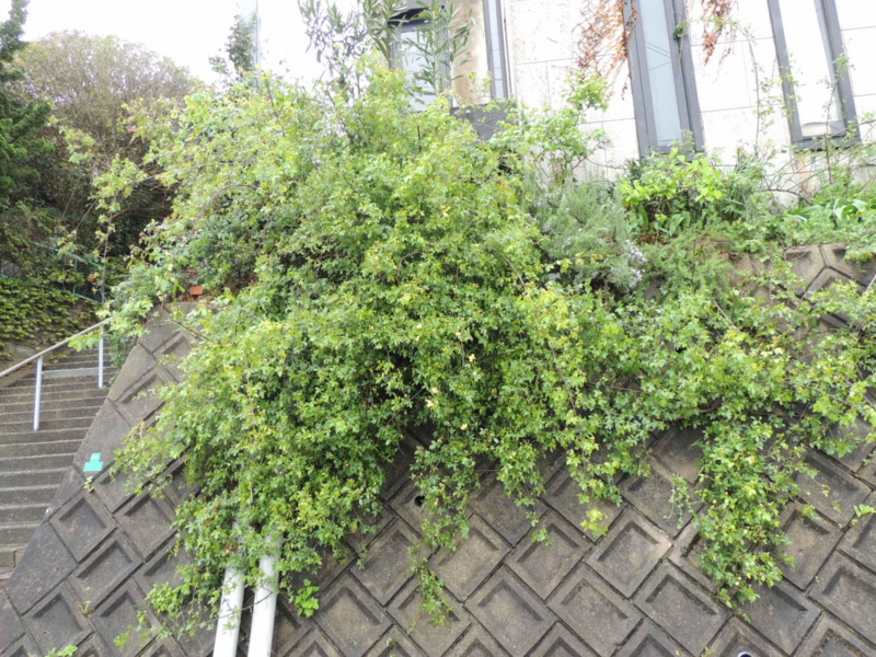 f:id:rotling:20120422124318j:image