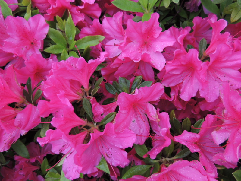 f:id:rotling:20120425134133j:image
