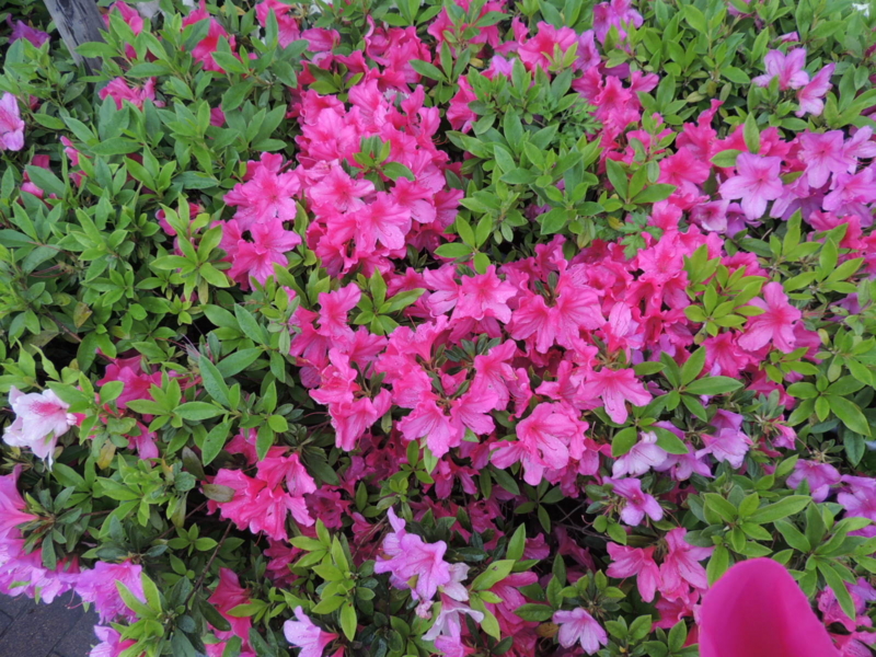 f:id:rotling:20120425134136j:image