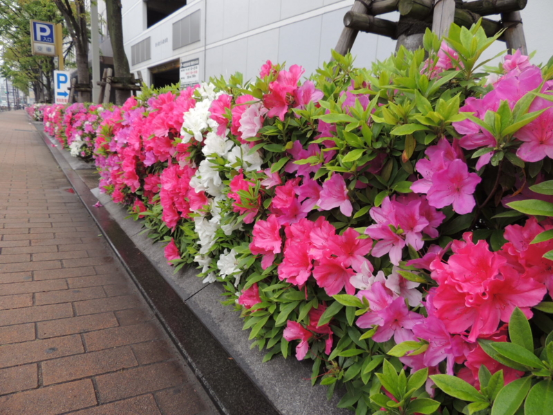 f:id:rotling:20120425134144j:image