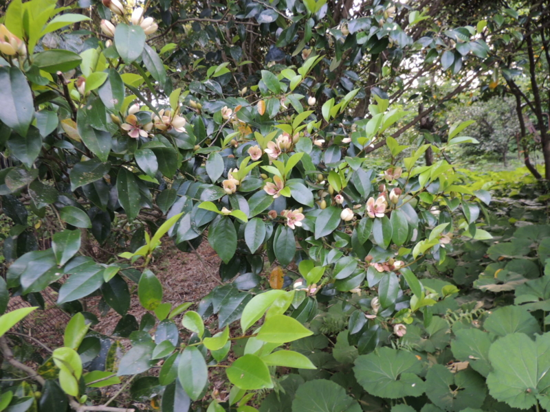 20120504174938