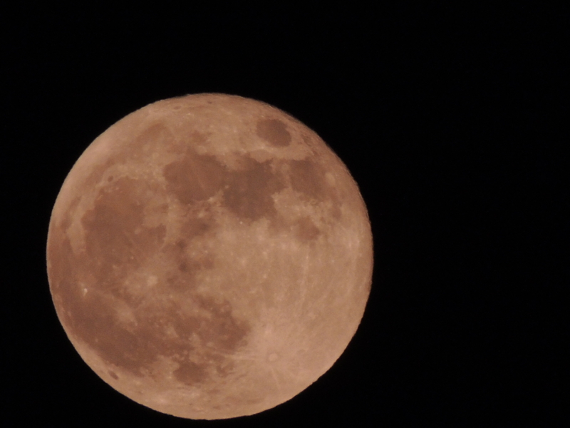 f:id:rotling:20120506223801j:image