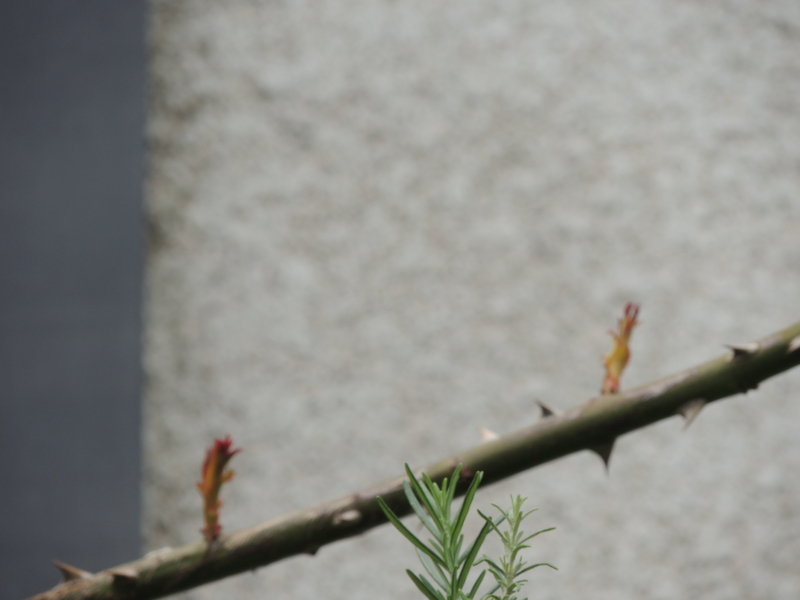 20120507102600
