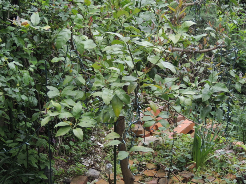 f:id:rotling:20120507103728j:image