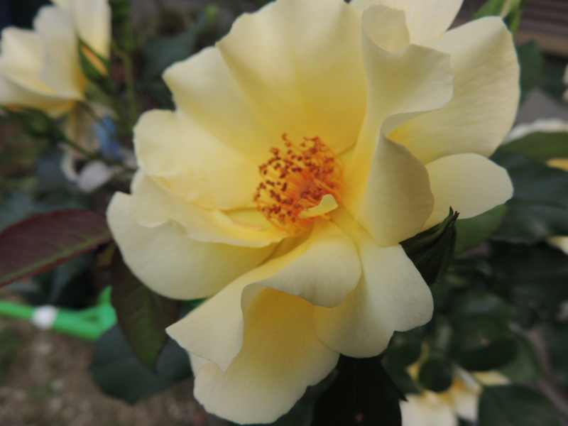 20120513073926