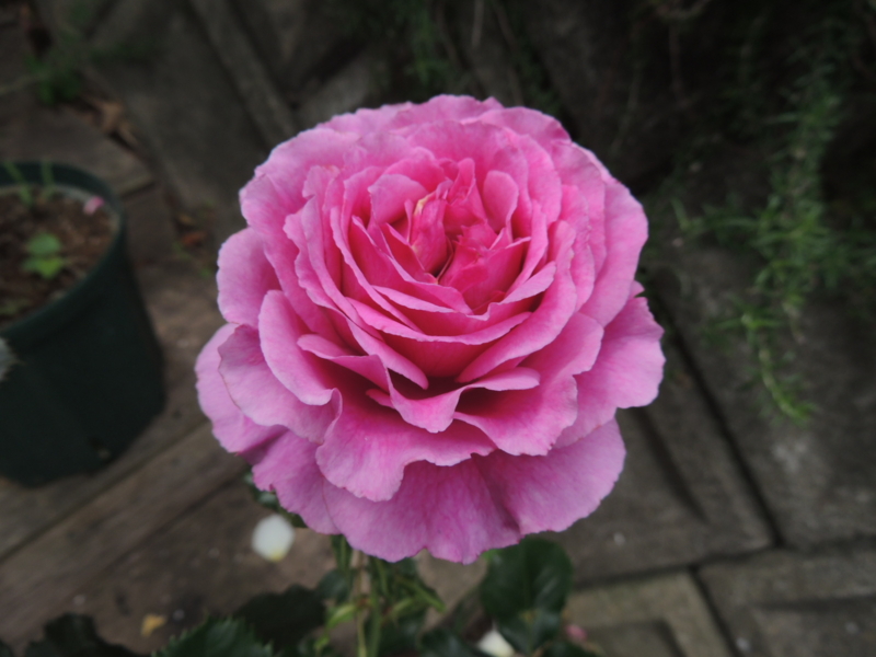 f:id:rotling:20120523113658j:image