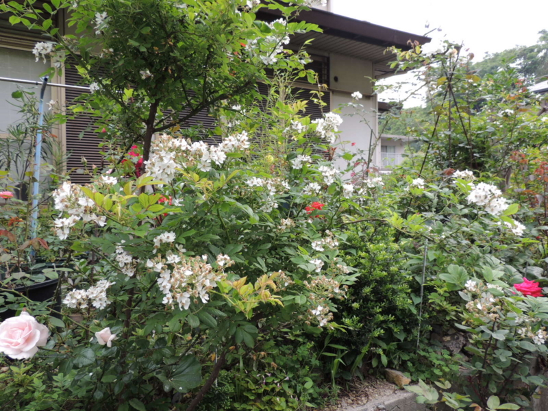f:id:rotling:20120524075853j:image