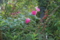 20120525182515