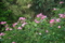 20120525183156