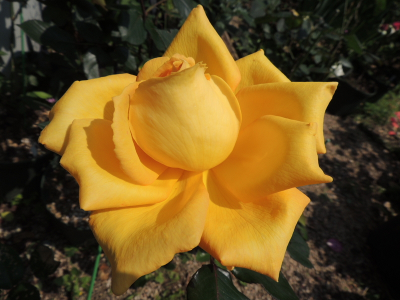 f:id:rotling:20120527102713j:image