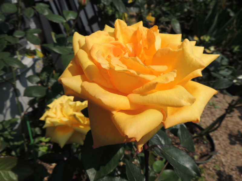 f:id:rotling:20120527102718j:image