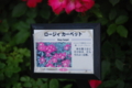 20120531125513