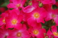 20120531125520