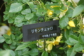 20120531132559