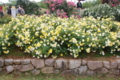 20120531132611