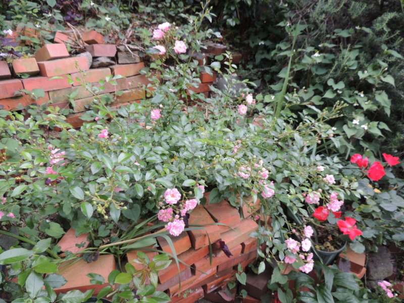 f:id:rotling:20120601164921j:image