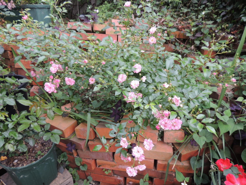 f:id:rotling:20120601164933j:image