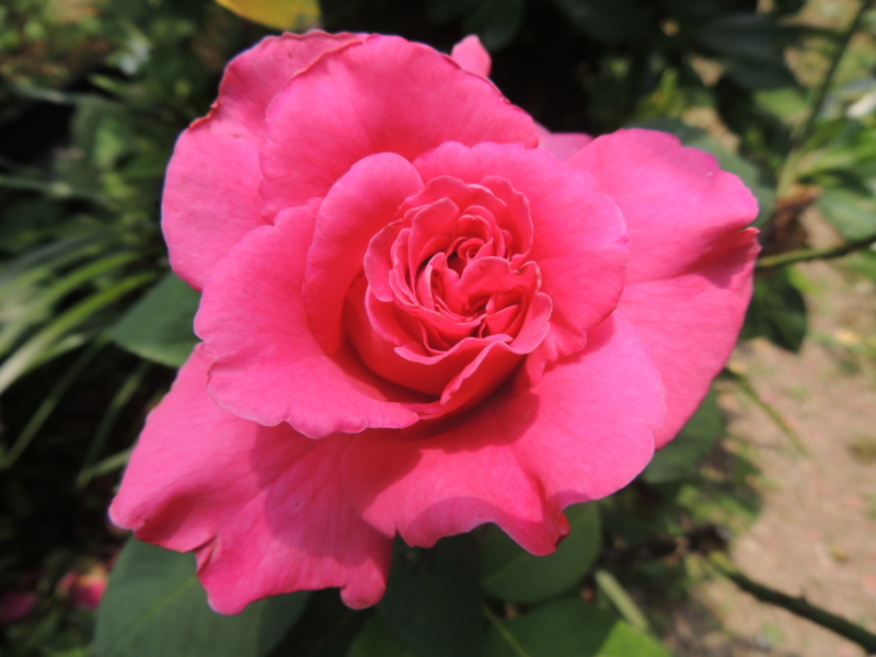 f:id:rotling:20120607123459j:image