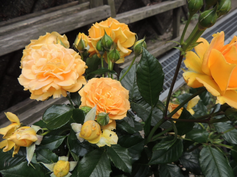 f:id:rotling:20120612133747j:image