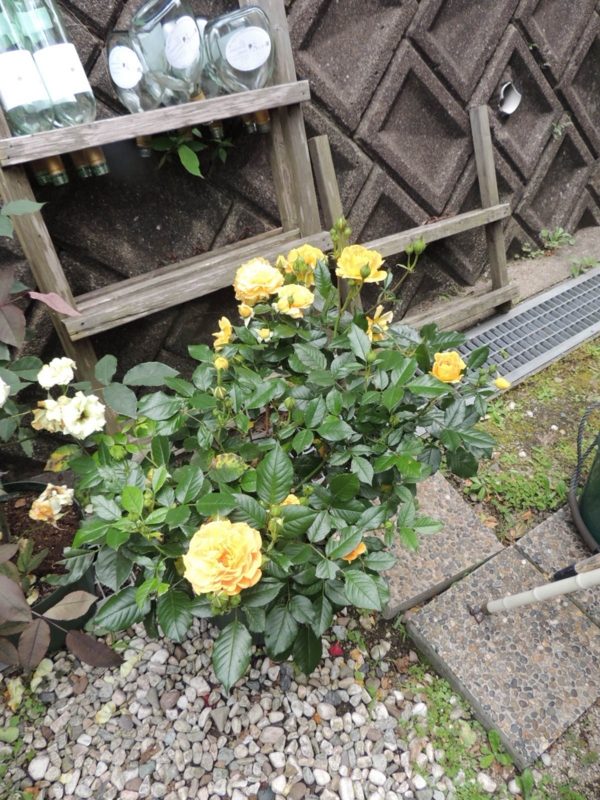 f:id:rotling:20120612133755j:image