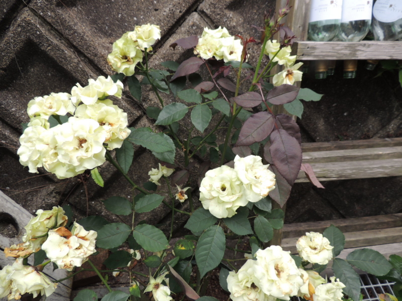 f:id:rotling:20120612133802j:image