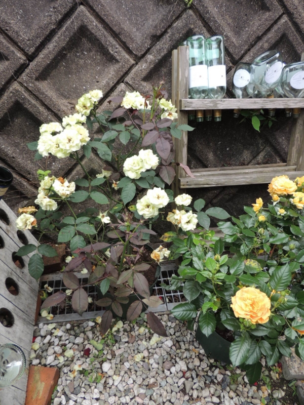 f:id:rotling:20120612133806j:image