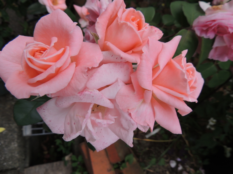 f:id:rotling:20120612133903j:image