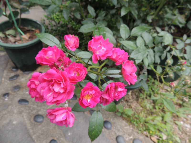 f:id:rotling:20120615101628j:image