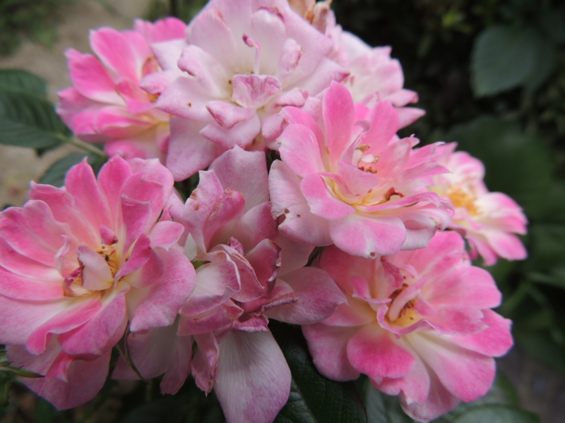 f:id:rotling:20120615101634j:image