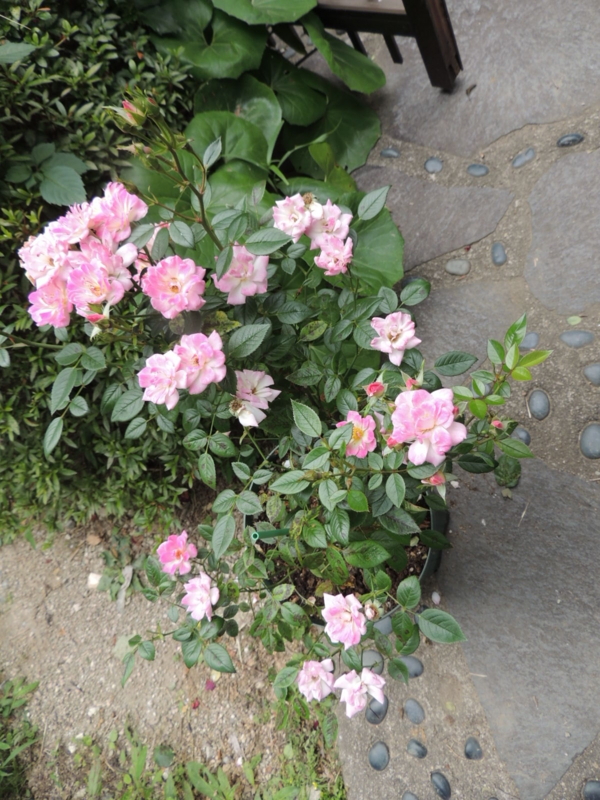 f:id:rotling:20120615101641j:image