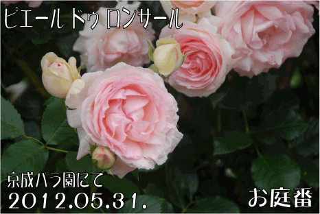 f:id:rotling:20120618235626g:image