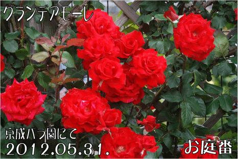 f:id:rotling:20120619225637g:image