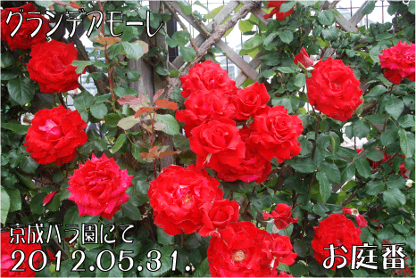 f:id:rotling:20120619225639g:image