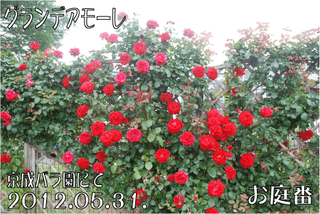 f:id:rotling:20120619225641g:image