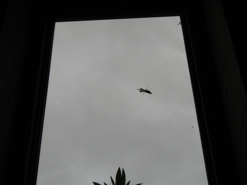 f:id:rotling:20120917174540j:image