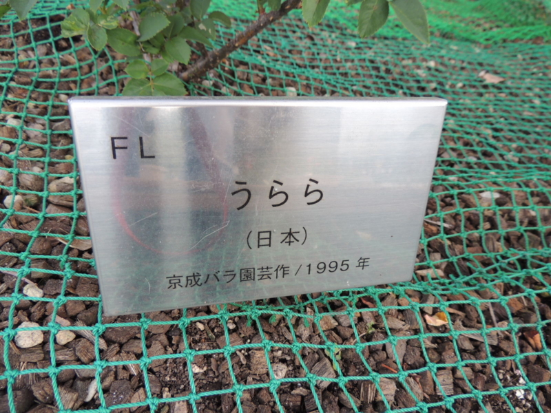 f:id:rotling:20121015153115j:image