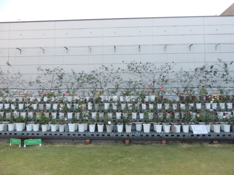f:id:rotling:20121015153206j:image